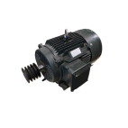 Electric Motor HBTL